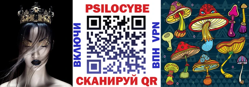 где продают   Кирсанов  Псилоцибиновые грибы мицелий 